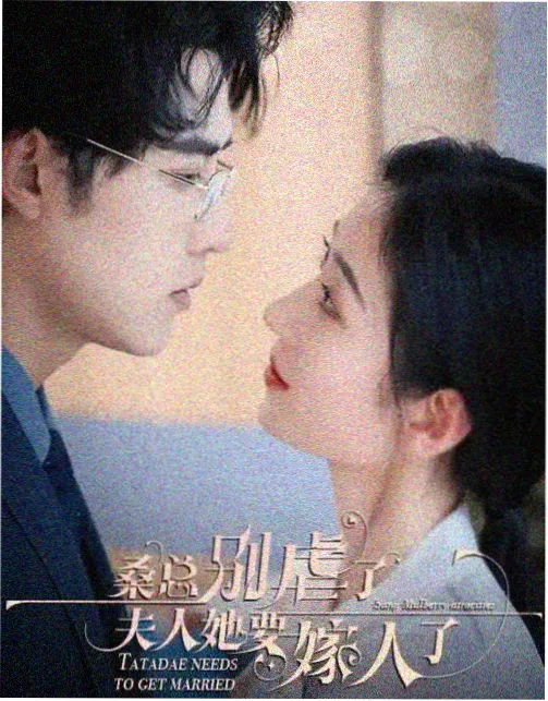 亚洲新浪潮分栏目录回填字段的复核工作记录